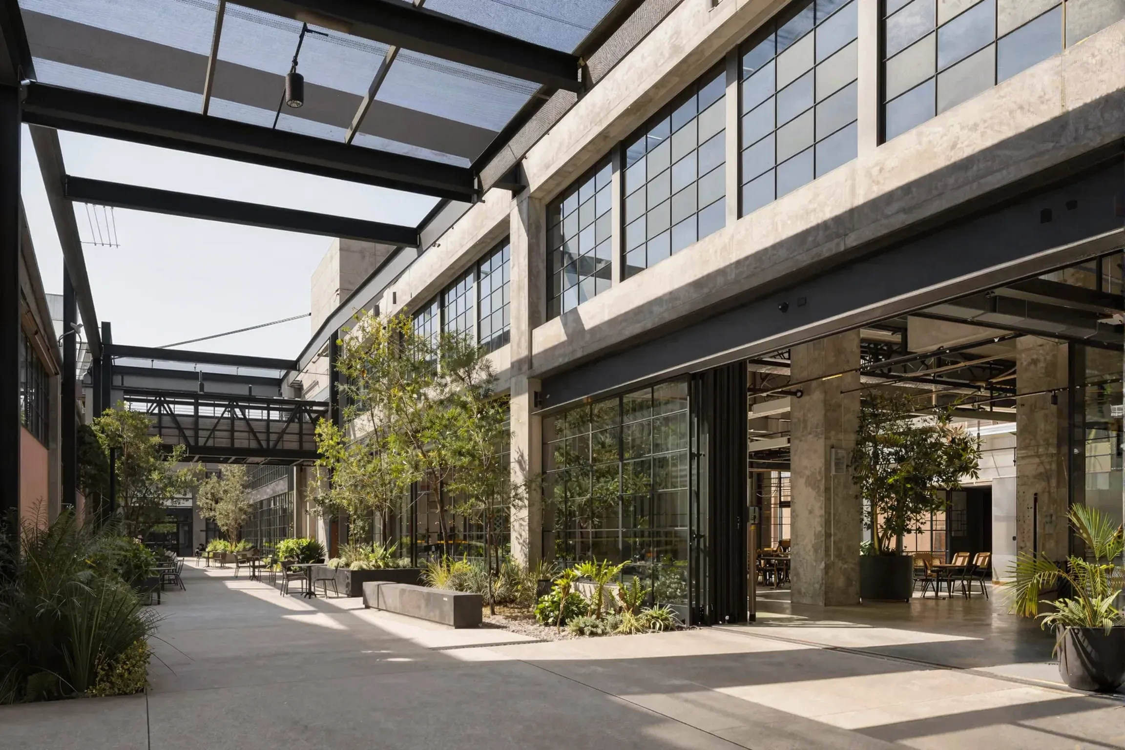 A creative office courtyard with a steel trellis and planting